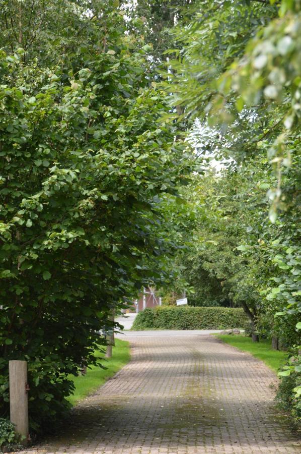 Bed and Breakfast Bij Ons Op 20 Неєвен Екстер'єр фото